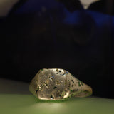 Sandcast enamel sigent ring - Size 9