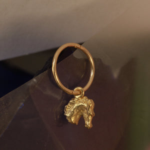horse earring