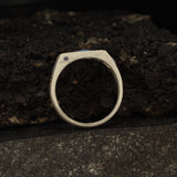Big Rig #2 ring
