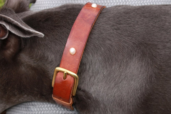 Pearl studded collar
