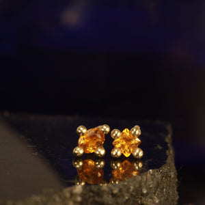 citrine twins