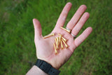 sandcast solid brass belt